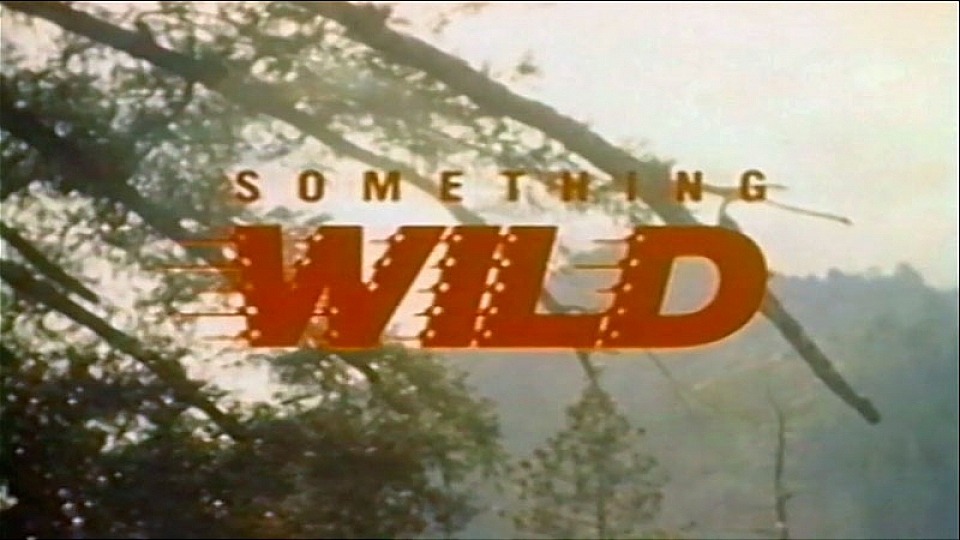 Something Wild